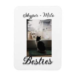 Pet friends besties add name pet photo animal love magnet
