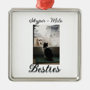 Pet friends besties add name pet photo animal love metal ornament