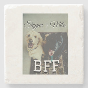 Pet friends besties add name pet photo animal love stone coaster