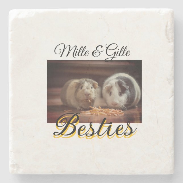 Pet friends besties add name pet photo animal love stone coaster (Front)