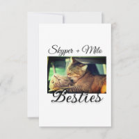 Pet friends besties add name pet photo animal love