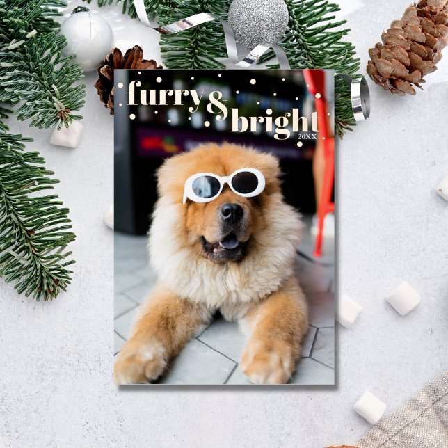  Pet Furry and Bright Gold Dots Foil Holiday Card (Creator Uploaded)