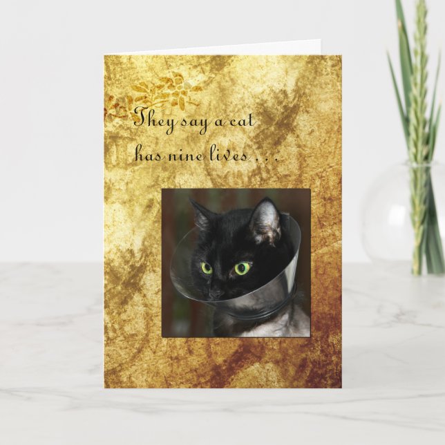 Pet Get Well with Black Cat Card (Front)