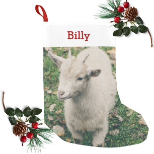 Pet Goat Lover Photo & Name Personalised Small Christmas Stocking
