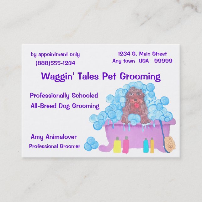 Pet Grooming Appointment And Business Card (Front)