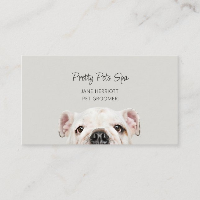 Pet Grooming Business Card (Front)