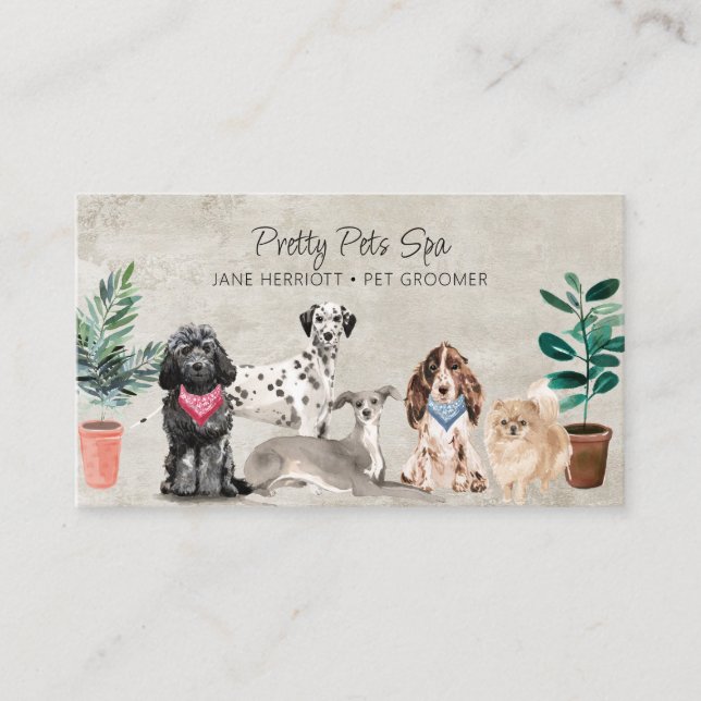 Pet Grooming Pet Spa Business Card (Front)