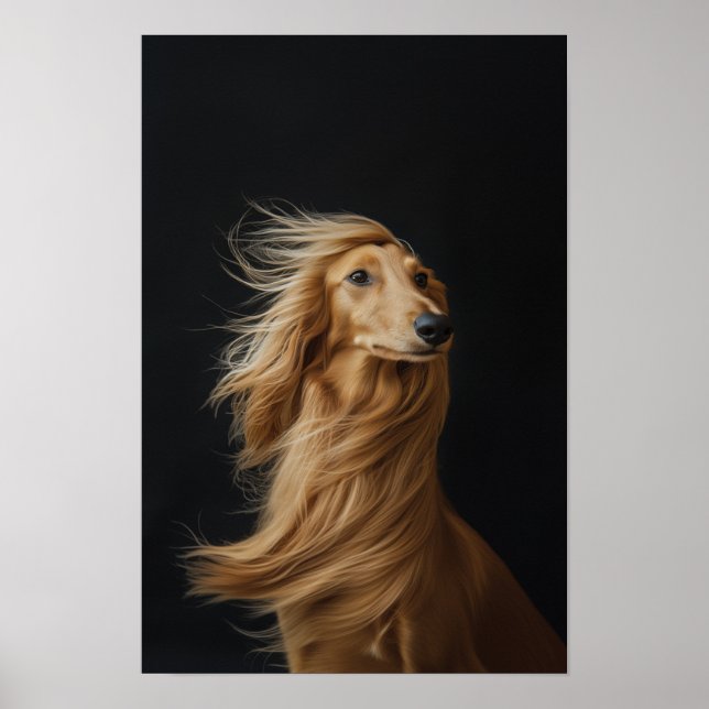 Pet Grooming Salon Boutique Afgan Hound Portrait Poster (Front)
