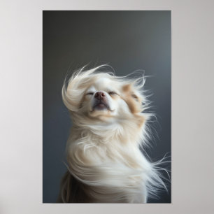 Pet Grooming Salon Boutique Chihuahua Portrait Poster