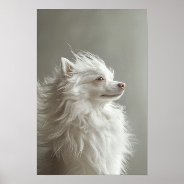 Pet Grooming Salon Boutique Spitz Portrait Poster (Front)