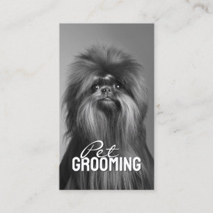 Pet Grooming Salon Care Affenpinscher Portrait Business Card