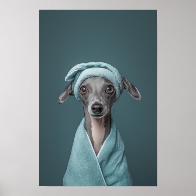 Pet Grooming Salon Italian Greyhound Portrait Poster (Front)