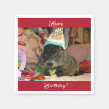 Pet Groundhog Moses Birthday Napkins