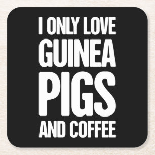 Pet Guinea Pig Guinea Pig Owner Square Paper Coaster
