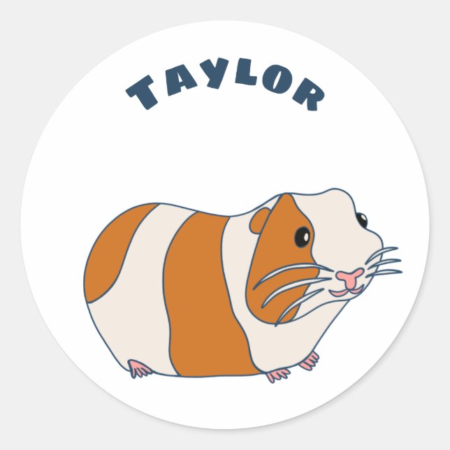 Pet Guinea Pig Illustration Personalised Classic Round Sticker (Front)