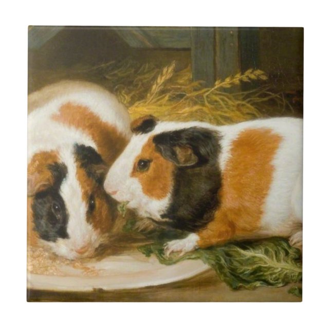Pet Guinea Pigs Feeding (by James Ward) Ceramic Tile (Front)