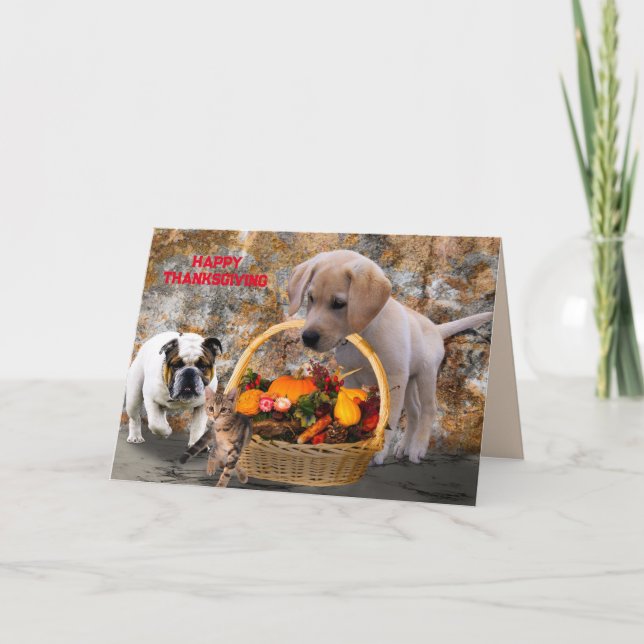 PET HARVEST THANKSGIVING CARD (Front)