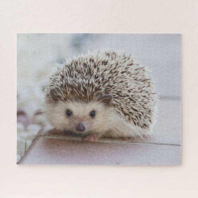 Pet Hedgehog Jigsaw Puzzle (Horizontal)