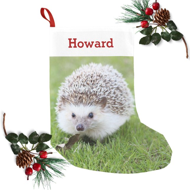 Pet Hedgehog Lover Owner Photo & Name Personalised Small Christmas Stocking (Creator Uploaded)