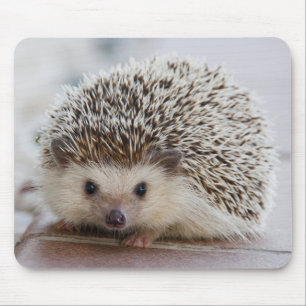 Pet Hedgehog Mouse Pad
