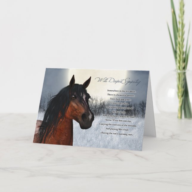 Pet Horse Sympathy Card, Loss Of Pet Horse Card (Front)