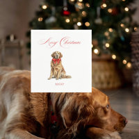 Pet Image Christmas Cocktail