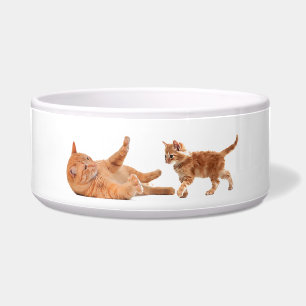 Pet image for Large-Pet-Bowl