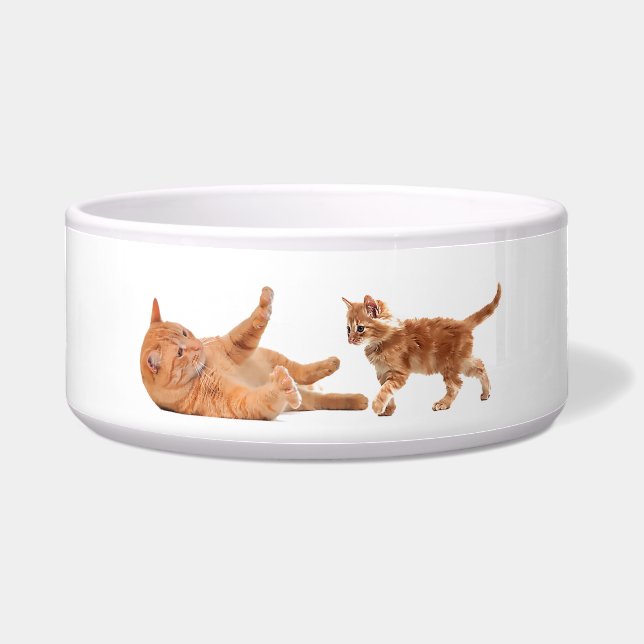 Pet image for Large-Pet-Bowl (Front)