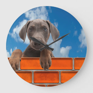 Pet image for Round-Large-Wall-Clock Large Clock
