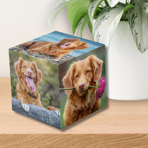 Pet Keepsake Puppy Dog Photo Cube