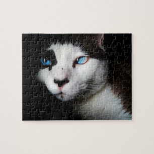 Pet Life   Black White Siamese Cat Blue Eyes Photo Jigsaw Puzzle