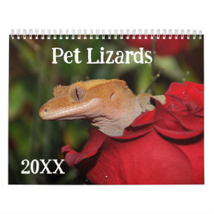Pet Lizards Calendar