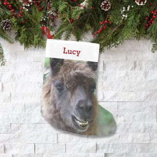 Pet Llama Lover Owner Photo & Name Personalised Small Christmas Stocking