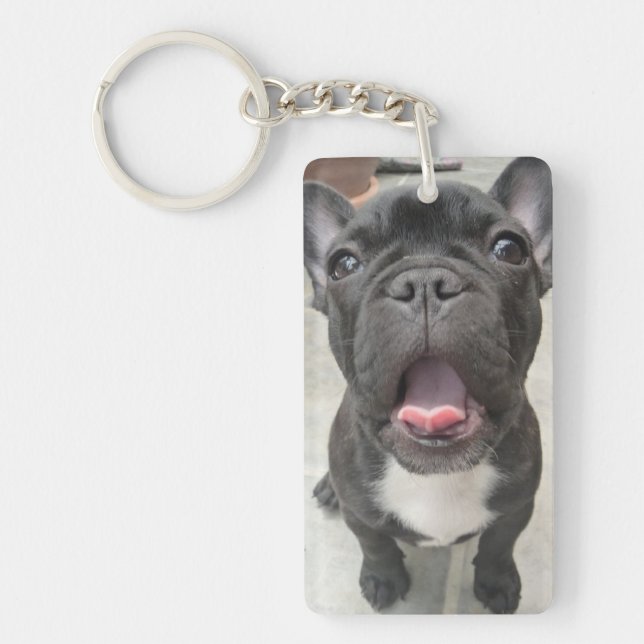 Pet loss |Dog| Memorial Keepsake with poem Key Ring (Front)