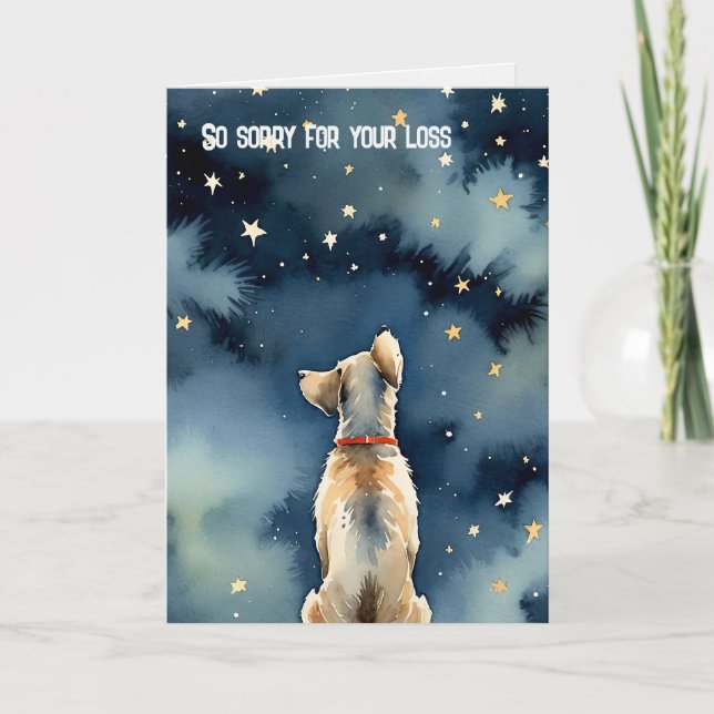 Pet Loss Dog Staring At Stars Card (Front)