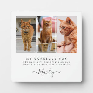  Pet Loss Gift for Dog & Cat, 3 Photo Pet Memorial Plaque