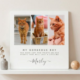 Pet Loss Gift for Dog & Cat, 3 Photo Pet Memorial Plaque