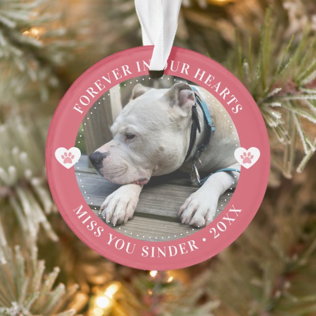 Pet Loss Memorial Keepsake Photo Modern Ornament (Tree)