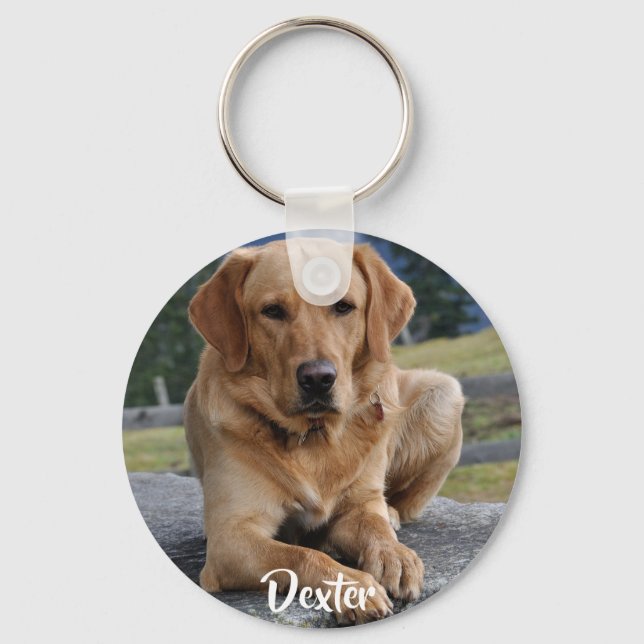 Pet Loss Memorial Photo Keepsake Quote Sympathy Key Ring (Front)
