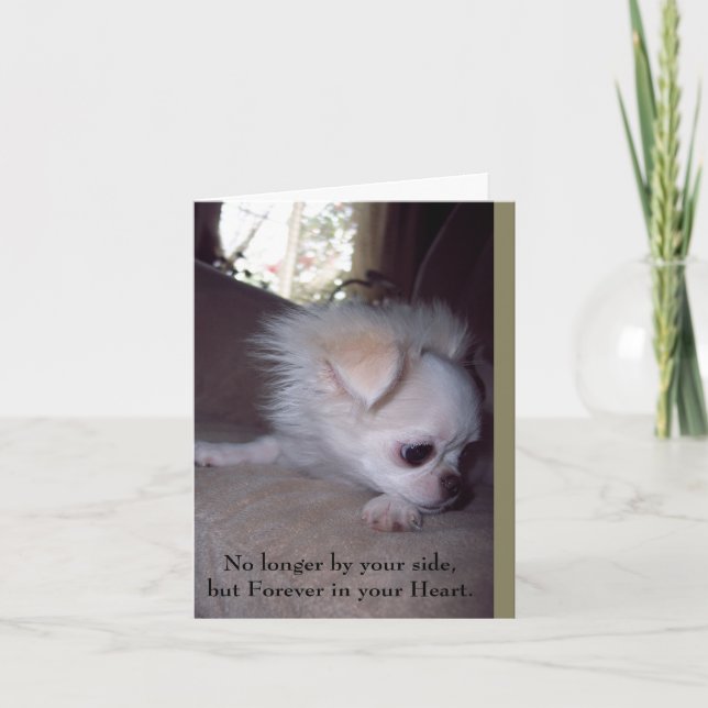 Pet Loss Sympathy Card for Dogs (Front)