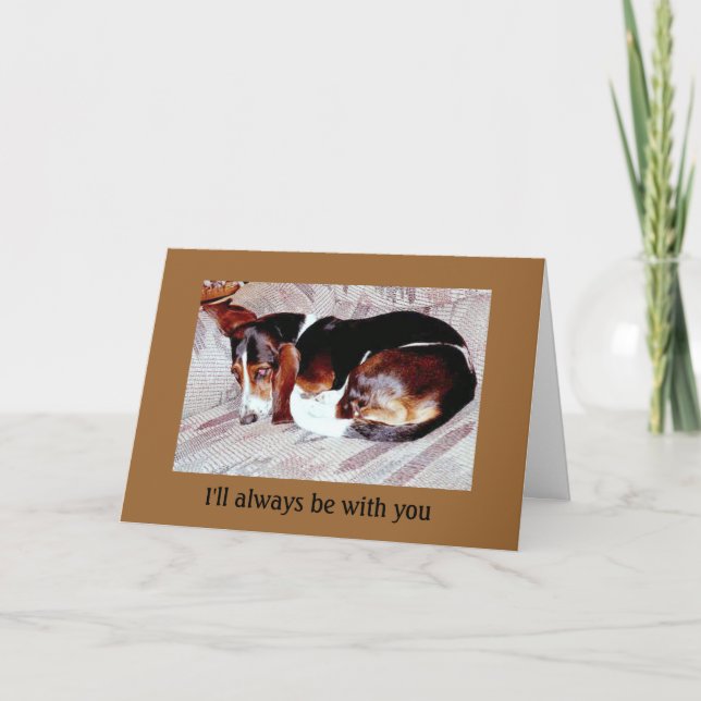 Pet Loss Sympathy: Loss of Dog Greeting Cards (Front)