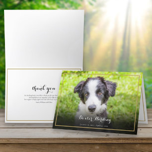 Pet Loss Sympathy Photo Elegant Gold Thank You Card
