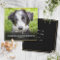 Pet Loss Sympathy Photo Square