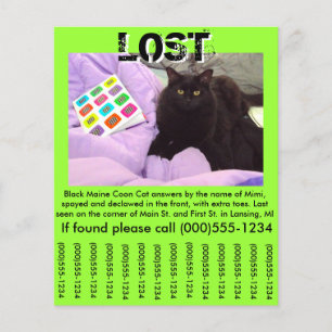 Pet Lost Flyer Template - 4.5" x 5.6" Flyer