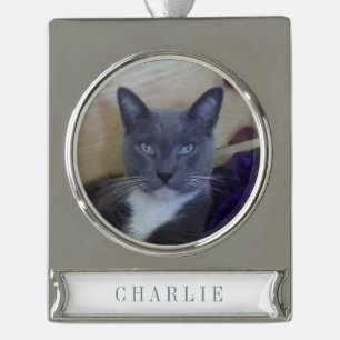 PET LOVE Banner Ornament / Silver