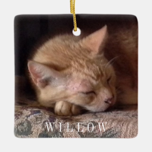PET LOVE Ceramic Square Ornament  (Front)