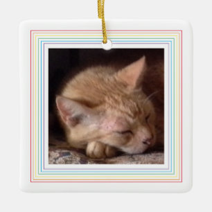 PET LOVE Ceramic Square Ornament / Rainbow