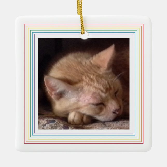 PET LOVE Ceramic Square Ornament / Rainbow (Front)