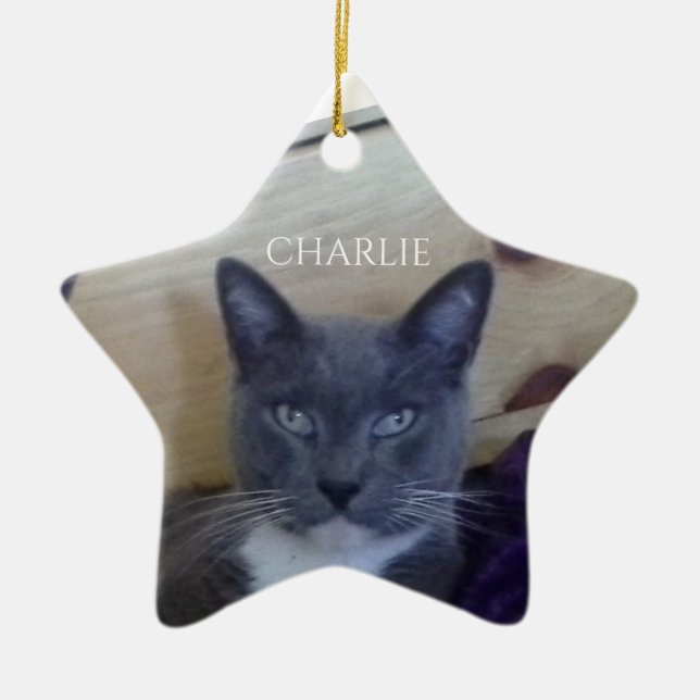 PET LOVE Ceramic Star Ornament  (Front)