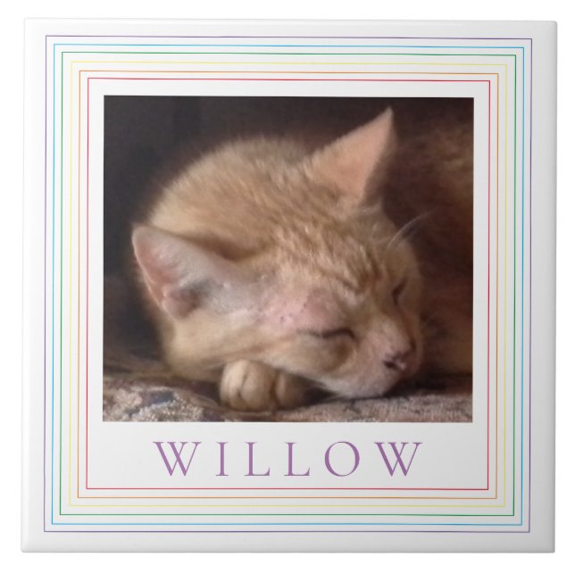 PET LOVE Ceramic Tile + Text / Rainbow (Front)